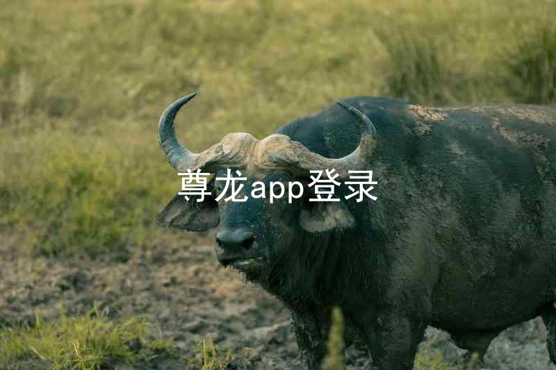 尊龙app登录
