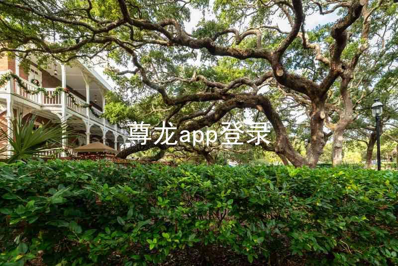 尊龙app登录